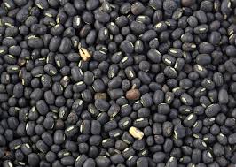 Black Gram Whole