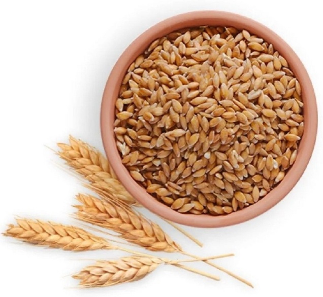 Wheat Whole